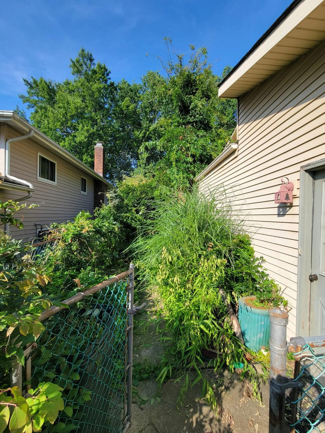 Before photo of brush removal: overgrown weeds and vegetation crowding narrow chain-link fenced path beside beige house.